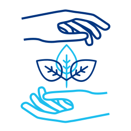 Persistence-Petals In Hands.png