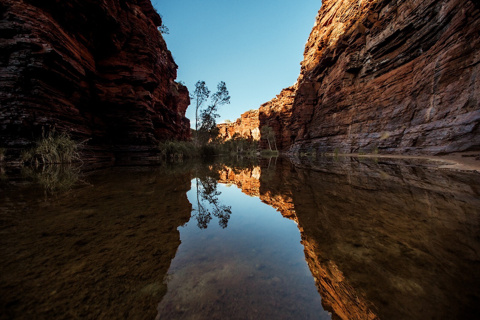 print-10 - waterhole.jpeg