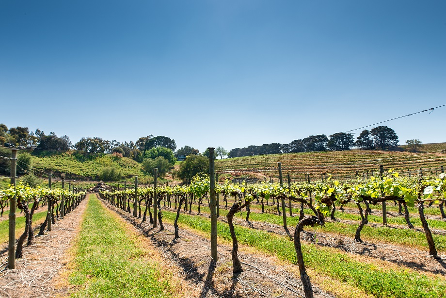 265 Geelong-Ballan Rd, Moorabool-7.png